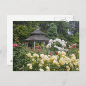 Rose in Blüte und Gazebo Rose Garden am Postkarte (Vorne/Hinten)