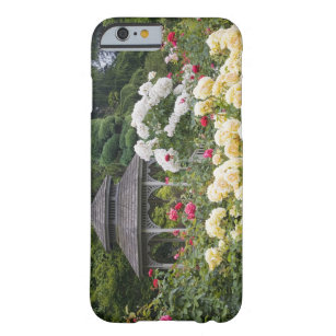 Rose in Blüte und Gazebo Rose Garden im Garten Barely There iPhone 6 Hülle