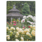 Rose in Blüte und Gazebo Rose Garden im Garten Klemmbrett (Rückseite)