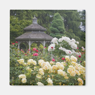 Rose in Blüte und Gazebo Rose Garden im Garten Magnet