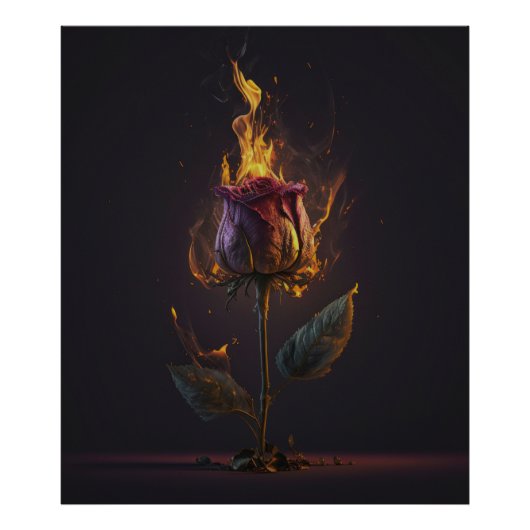Rose in Brand Fotodruck (Vorne)