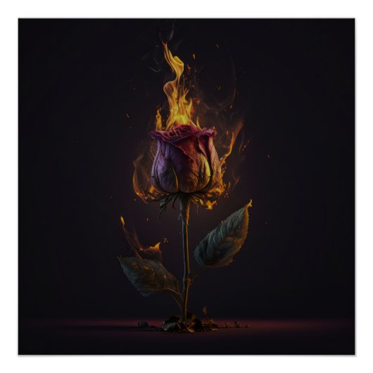 Rose in Brand Poster (Vorderseite)