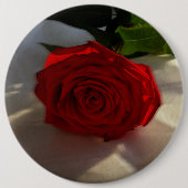 Rose in der Abenddämmerung Button (Vorderseite)