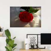 Rose in der Abenddämmerung Poster (Heimbüro)