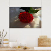 Rose in der Abenddämmerung Poster (Küche)