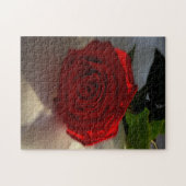Rose in der Abenddämmerung Puzzle (Horizontal)