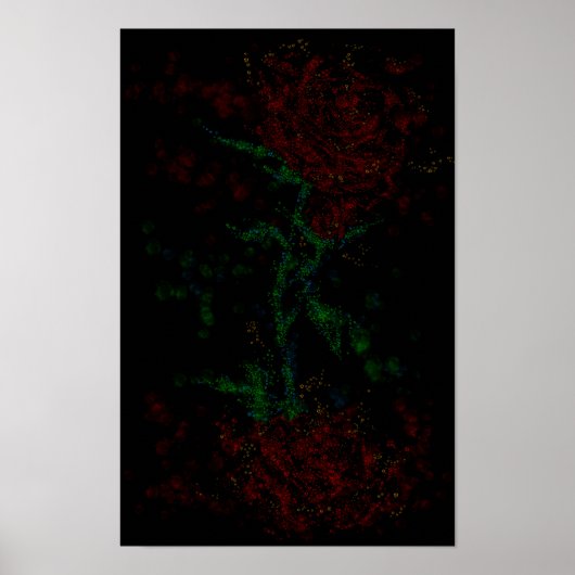 Rose in der Dunkelheit Poster (Vorne)