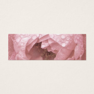 Rose in der Wüste, Visitenkarte