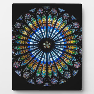 Rose in Frankreich in Straßburg Fotoplatte