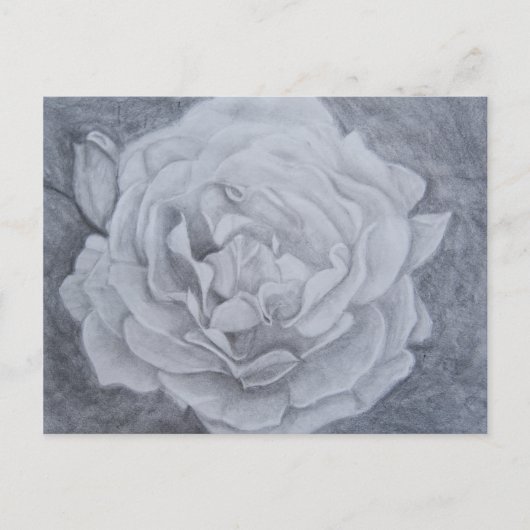 Rose in Graphit Postkarte (Vorderseite)