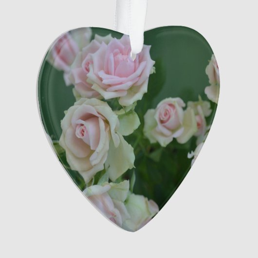 Rose in Pastellrosa Ornament (Vorderseite)