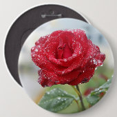 Rose in Regentropfen Button (Vorne & Hinten)