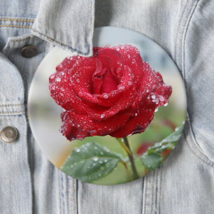 Rose in Regentropfen Button