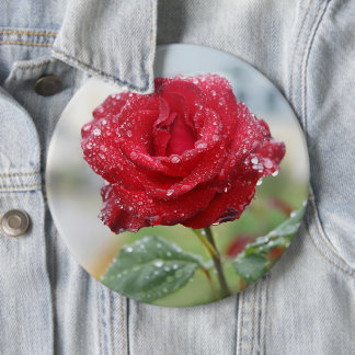 Rose in Regentropfen Button