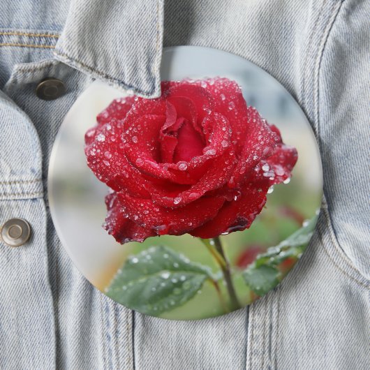 Rose in Regentropfen Button (Beispiel)