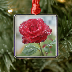 Rose in Regentropfen Ornament Aus Metall