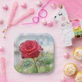 Rose in Regentropfen Pappteller (Party)