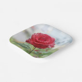Rose in Regentropfen Pappteller (Gewinkelt)