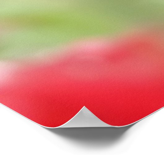 Rose in Regentropfen Poster (Ecke)