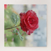 Rose in Regentropfen Puzzle (Horizontal)