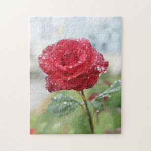 Rose in Regentropfen Puzzle