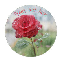 Rose in Regentropfen