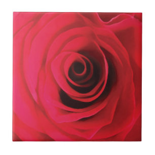 Rose in Rot Fliese