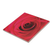 Rose in Rot Fliese (Seite)