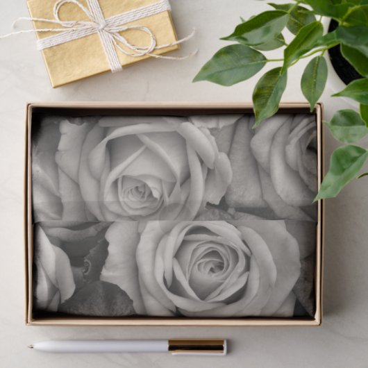 Rose in Schwarz und Weiß Seidenpapier (Geschenk)
