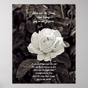 Rose in Schwarz-Weiß-Poster Poster