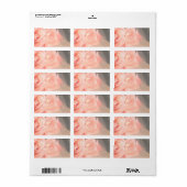 Rose in silber, hellrosa adressaufkleber (Vorne)