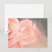 Rose in silber, hellrosa postkarte (Vorne/Hinten)