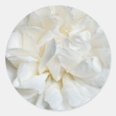 Rose in Weiß Runder Aufkleber (Vorderseite)