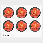 Rose ist ein Rose-Sticker Runder Aufkleber (Blatt)