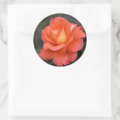 Rose ist ein Rose-Sticker Runder Aufkleber (Tasche)