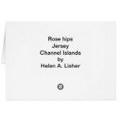 Rose, Jersey-Karte (Rückseite Horizontal)