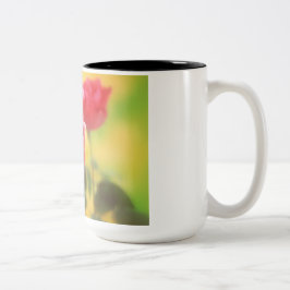 Rose Kaffee Tasse