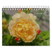Rose Kalender (Titelbild)