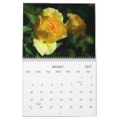 Rose Kalender (Jan 2027)