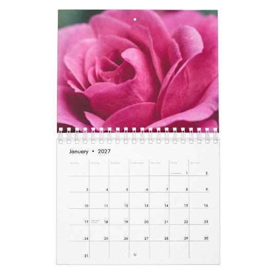 Rose Kalender (Jan 2027)