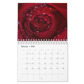 Rose Kalender (Feb 2026)