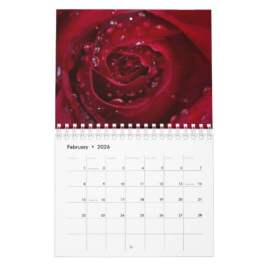 Rose Kalender (Feb 2026)