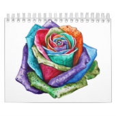 Rose Kalender (Titelbild)