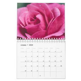 Rose Kalender