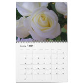 Rose Kalender (Jan 2027)