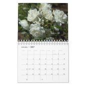 Rose Kalender (Jan 2027)