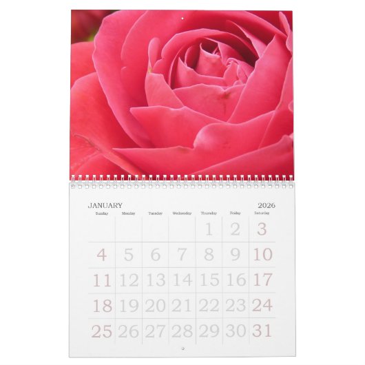 Rose Kalender 2019 Großdruck (Jan 2026)