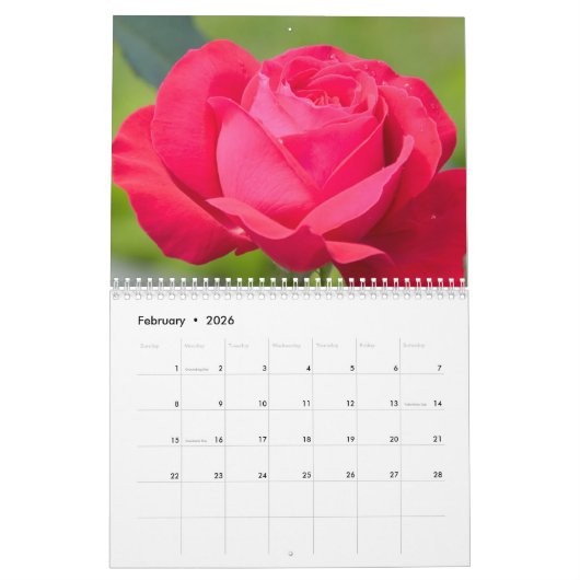 Rose - Kalender 2023 (Feb 2026)