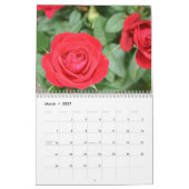 Rose - Kalender 2023 (Mär 2027)