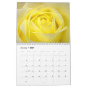 Rose - Kalender 2024 (Jan 2027)